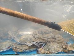 -盒马鲜生(曜一城店)