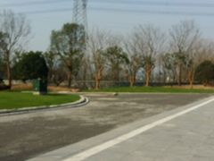 -长田漾湿地公园