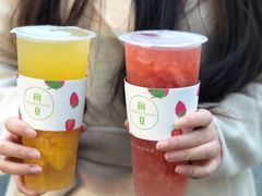 -树夏(建设路店)