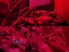 -RMK Shochu Bar(三诺店)