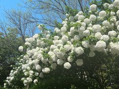 -杭州城北体育公园