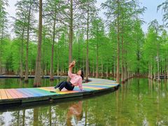 -泗洪洪泽湖湿地景区