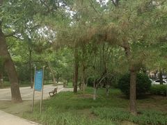 -元大都城垣遗址公园