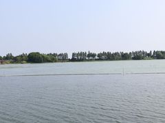 -贡湖湾湿地公园