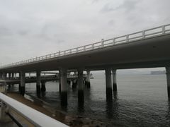 -演武大桥观景平台