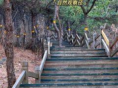 -北京西山国家森林公园