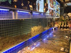 -必点海鲜·鲅鱼水饺(鞍山西道店)