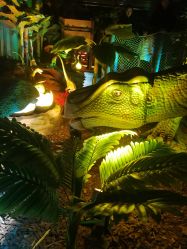 -恐龙探索乐园(磁器口店)