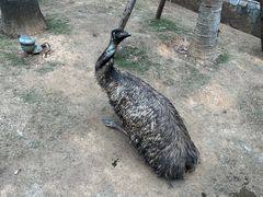 -灵玲国际马戏城