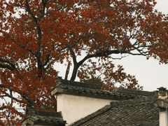 -塔川景区