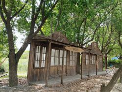 -BabyA 专业婴童摄影(古北时尚广场店)