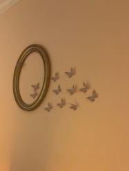 -蕾蕾美颜美容美体