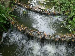 android_upload_pic-苏州河梦清园环保主题公园