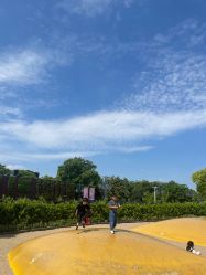 -季高兔窝窝亲子园(上海薰衣草公园店)