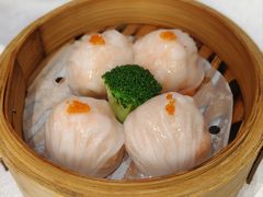 -悦暨轩(暨南大学希尔顿花园酒店)