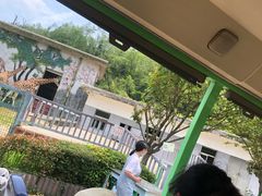 -贵州森林野生动物园