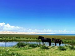 -青海湖国家重点风景名胜区