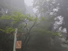 -庐山风景区花径公园