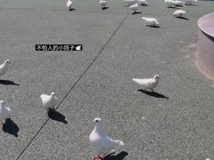 -安徽大青山野生动物世界