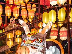 -横店影视城梦幻谷园区