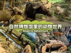 -陕西自然博物馆