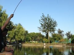 -酷鱼垂钓CLUB(朝阳区博大路店 )