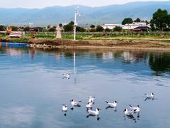 -青海湖国家重点风景名胜区