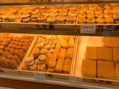 -九芝斋(解放路店)