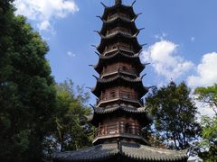 -上海佘山国家森林公园西佘山园