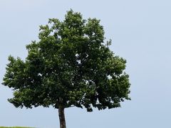 -钟山体育运动公园