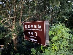 -紫金山山顶公园