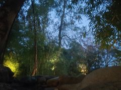 -三江森林温泉度假区