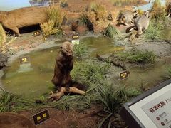 -陕西自然博物馆