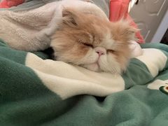 -游心咖啡(青山滨江店)