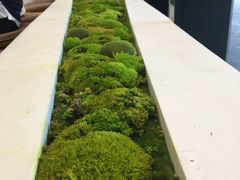 -喜茶(永旺梦乐城店)