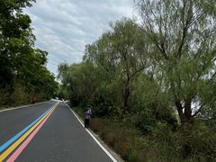 -同里国家湿地公园