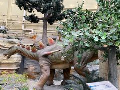 -国家自然博物馆