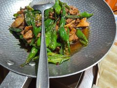 -鸽子窝(青塔店)