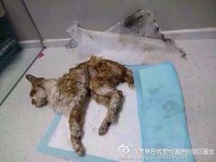 iphone_upload_pic-盛京一禾