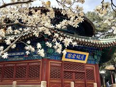 -潭柘寺景区