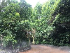 -株洲方特欢乐世界