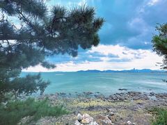-海岛日记(养马岛店)