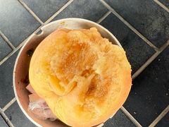 -翊宠yipet猫狗购宠庄园犬舍•猫舍