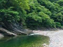 -黑河国家森林公园