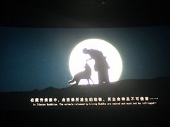 -中影国际影城(兰生大厦CINITY LED店)