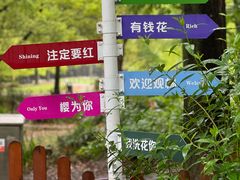 -上海共青森林公园