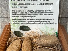 -石排湾郊野公园