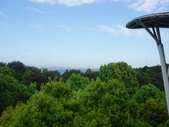 -铁山坪森林公园