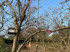 -天目湖涵田度假村
