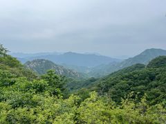 -大岭沟猕猴桃谷风景区